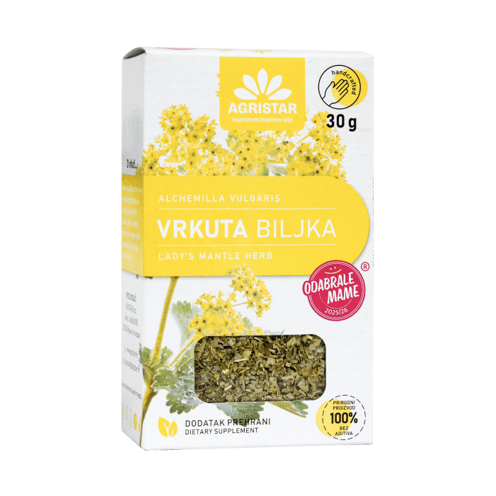 Vrkuta biljka (Alchemilla vulgaris)