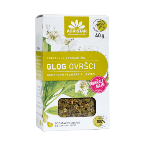 Glog ovršci (Crataegus oxyacantha)