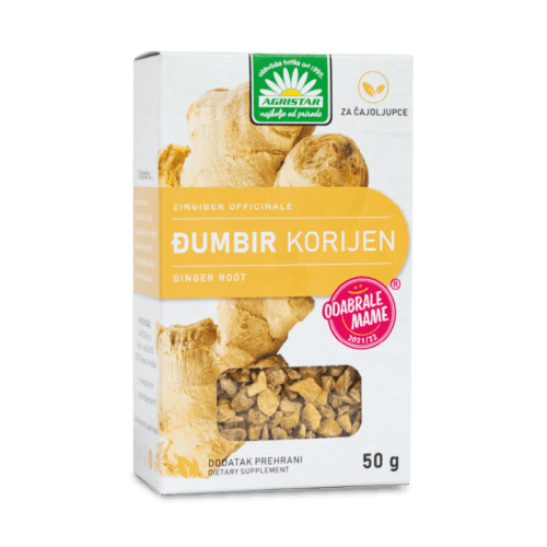 Đumbir korijen (Zingiber officinale)